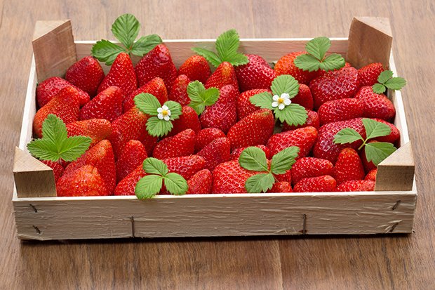 Erdbeeren - richtige Lagerung - GuteKueche.ch