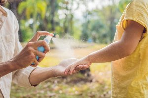 Anti-Mücken-Spray herstellen