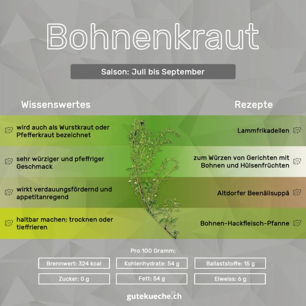 Infos-Bohnenkraut